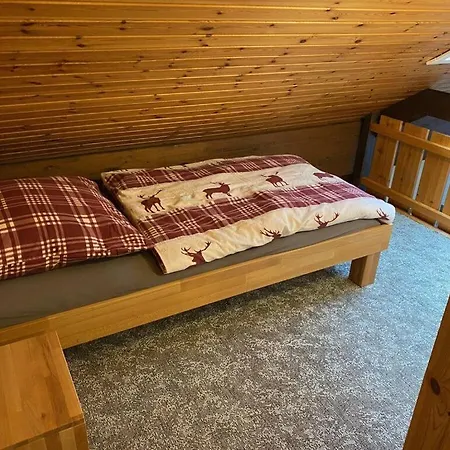 Spacious Holiday Near Ski-lift